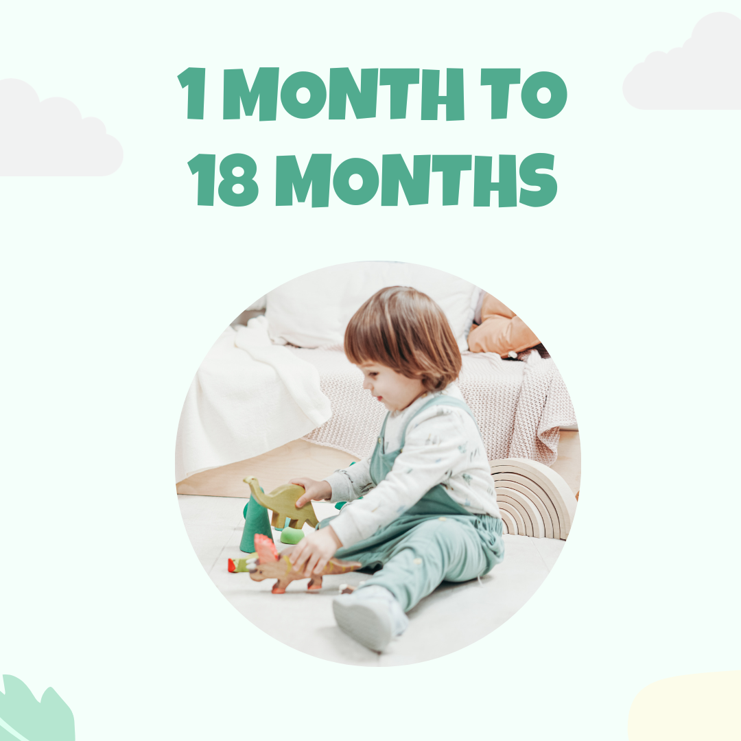1 Month to 18 Months