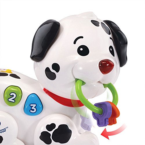 Pull Along Puppy Pal | Musical Walking Puppy Toy for Babies