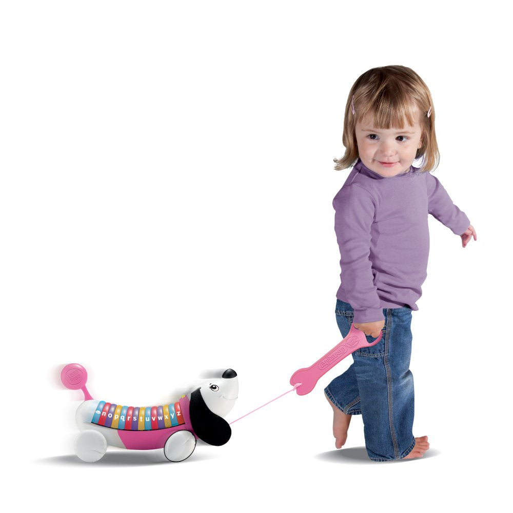LeapFrog AlphaPup Pink | Musical Alphabet Walking Toy for Toddlers
