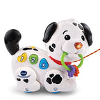 Pull Along Puppy Pal | Musical Walking Puppy Toy for Babies