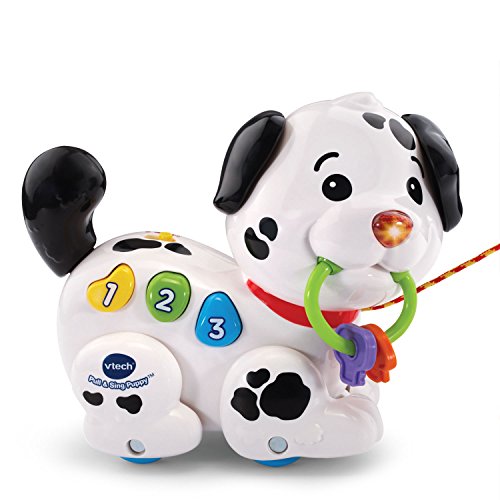 Pull Along Puppy Pal | Musical Walking Puppy Toy for Babies