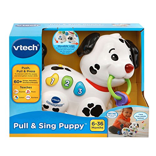 Pull Along Puppy Pal | Musical Walking Puppy Toy for Babies