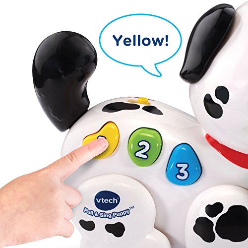 Pull Along Puppy Pal | Musical Walking Puppy Toy for Babies