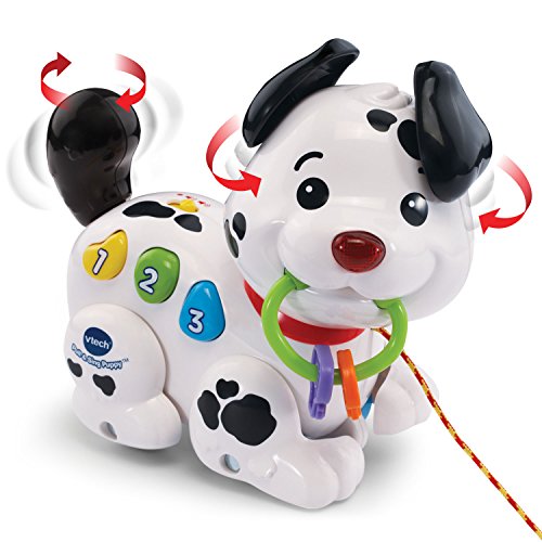 Pull Along Puppy Pal | Musical Walking Puppy Toy for Babies