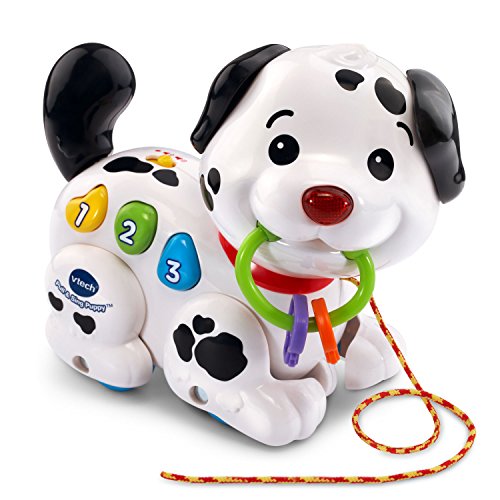 Pull Along Puppy Pal | Musical Walking Puppy Toy for Babies